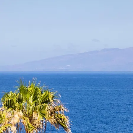 La Gaviota